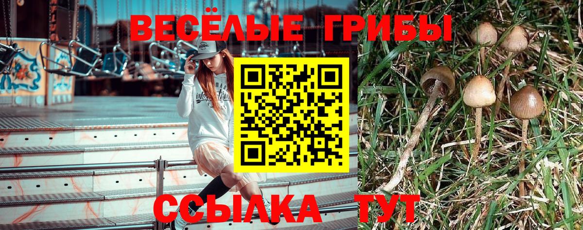 Нижний Новгород  Псилоцибиновые грибы мицелий  Галлюциногенные грибы Magic Shrooms  Вход с VPN 