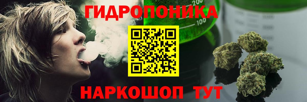 Марихуана ГИДРОПОН  Канабис White Widow  Нижний Новгород  Вход с VPN  Бошки Шишки Amnesia 
